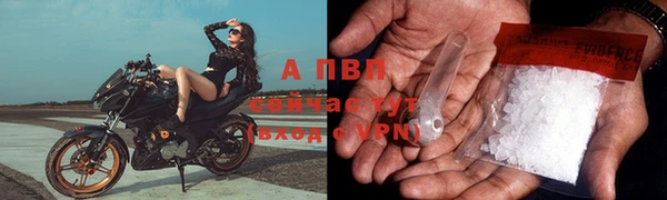 a pvp Баксан