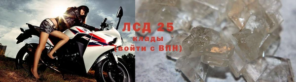 спиды Белокуриха