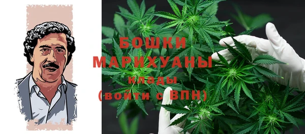 дурь Сосновка